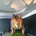 福井県立恐竜博物館の写真_294176