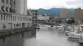 小樽運河の写真_299950