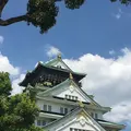 大阪城の写真_300347