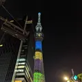 東京スカイツリーの写真_302147