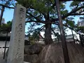花岳寺の写真_308960