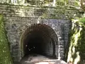 旧天城トンネルの写真_311068