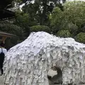 安井金比羅宮の写真_312238