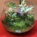 建仁寺の写真_312245