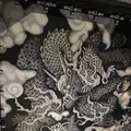 建仁寺の写真_312246