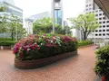 大阪駅前第１ビルの写真_313039
