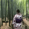 報国寺（竹寺）の写真_315085