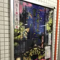 元離宮 二条城の写真_316501