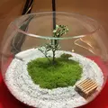 建仁寺の写真_317898