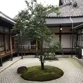 建仁寺の写真_317899