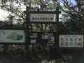 横浜自然観察の森の写真_322767