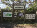 横浜自然観察の森の写真_323282