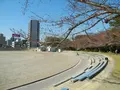 鶴舞公園陸上競技場の写真_32668