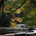 尾山神社の写真_327647