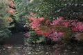 尾山神社の写真_327648