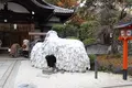 安井金比羅宮の写真_328162
