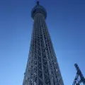 東京スカイツリーの写真_330911