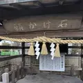 阿蘇神社の写真_338428