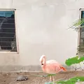 草津熱帯圏の写真_342329