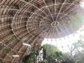 草津熱帯圏の写真_342330
