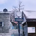 小樽運河の写真_343149