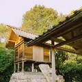 家プロジェクト 護王神社の写真_343707