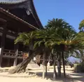豊国神社（千畳閣）の写真_344443