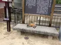 ネコノテパン工場の写真_34581