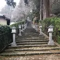 湯泉神社の写真_348734
