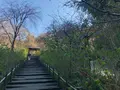明月院（あじさい寺）の写真_354375