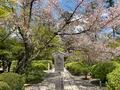 広隆寺の写真_356491
