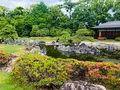 元離宮 二条城の写真_358506