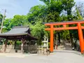 吉田神社の写真_358518