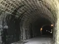旧天城トンネルの写真_361335