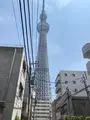 東京スカイツリーの写真_366084