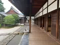 建仁寺の写真_366323
