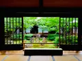 建仁寺の写真_366327