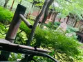 建仁寺の写真_366330