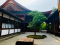 建仁寺の写真_366336