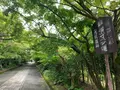 曹洞宗 瑞雲山龍福寺の写真_366770