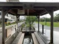 井上公園の写真_366911