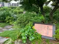井上公園の写真_366924