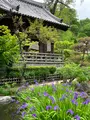 青龍山 吉祥寺の写真_367705