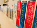 いがらしゆみこ美術館の写真_368486