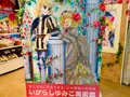 いがらしゆみこ美術館の写真_368533
