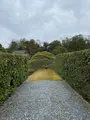 桂離宮の写真_371126