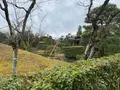 桂離宮の写真_371131