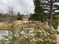 桂離宮の写真_371140