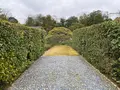 桂離宮の写真_371144