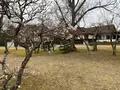 桂離宮の写真_371147